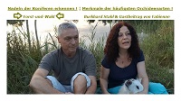 Video 0011